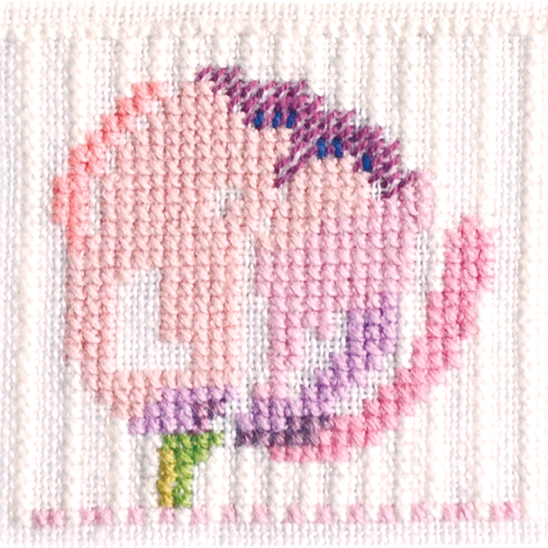 Tulipan EMR