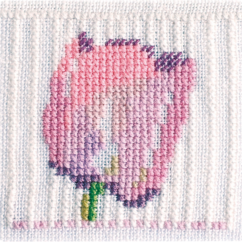 Tulipan EMR