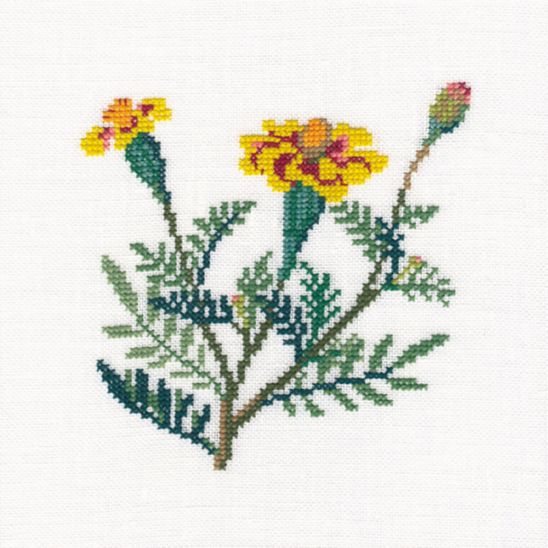 Flelsblomst GB