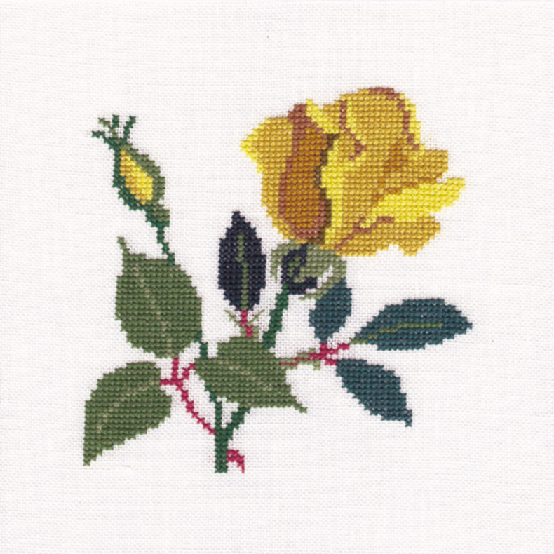 Rose GB
