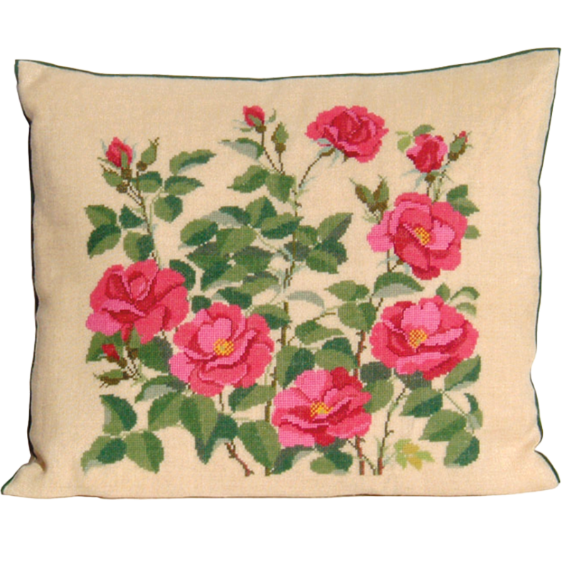 Rosa, rosiga VJA