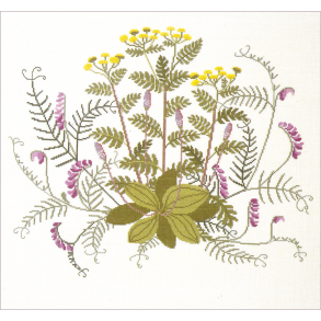 Mussevikke-pastinak GB