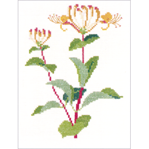 Alm, gedeblad (1) GB