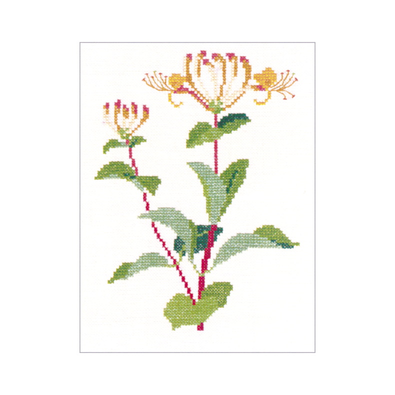 Alm, gedeblad (1) GB