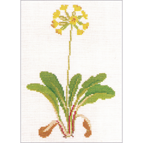 Hulkravet kodriver (3) GB