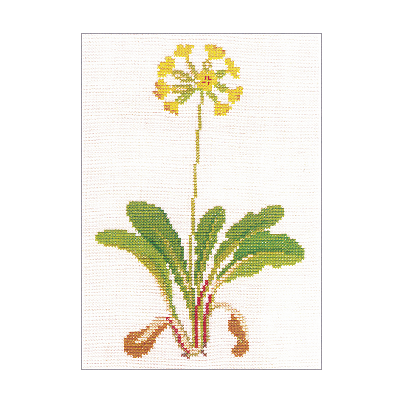 Hulkravet kodriver (3) GB