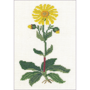 Alm. guldblomme (8) GB