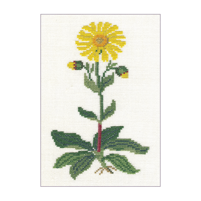 Alm. guldblomme (8) GB