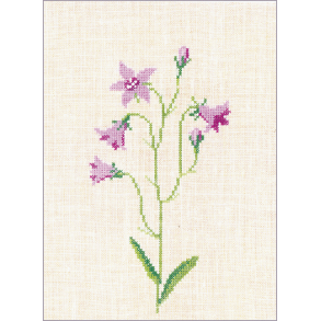 Eng klokkeblomst (16) GB