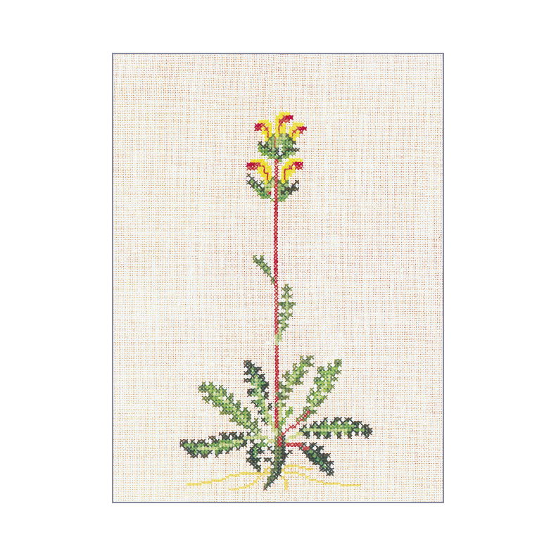 Kongescepter (20) GB