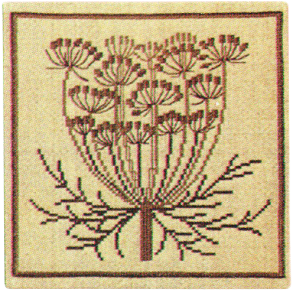 Vild gulerod, brun GB