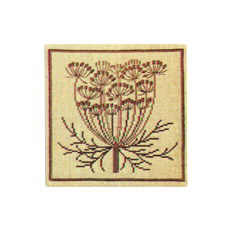 Vild gulerod, brun GB