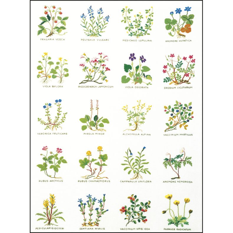Blomster GB