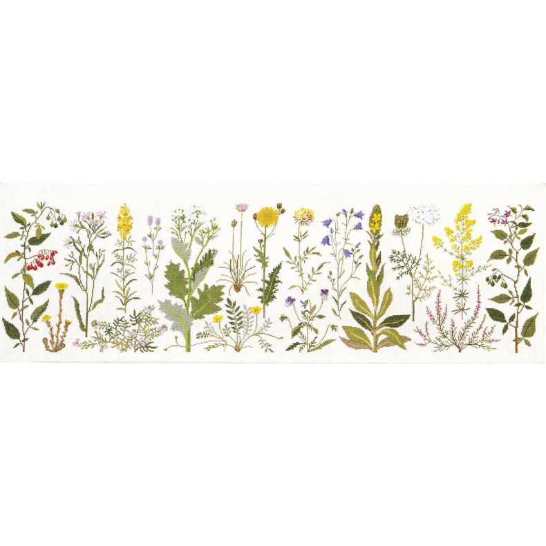 Kystens blomster GB