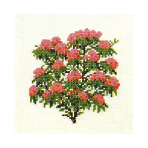 Alperose rhododendron GB