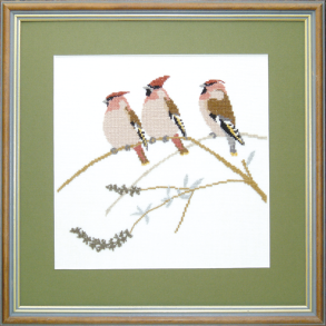 Silkehale, kal.93 MS