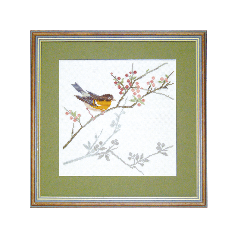 Kvrkefinke, kal.93 MS