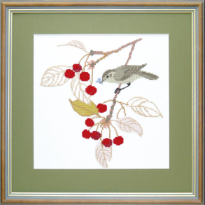 Havesanger, kal.93 MS