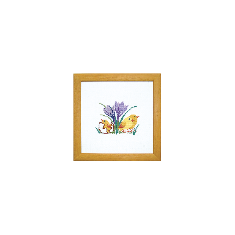 Kyllinger og krokus MS