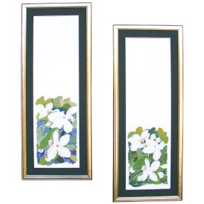 kander bl OK & kander grn OK